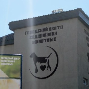 Збільшення електричної потужності КП «Центр поводження з тваринами»